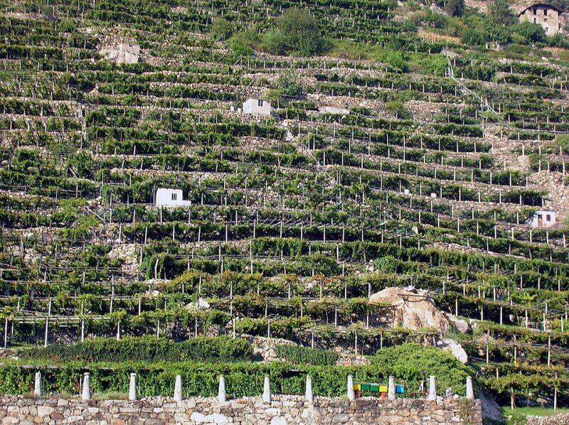 Vignobles héroïques et Donnas DOC